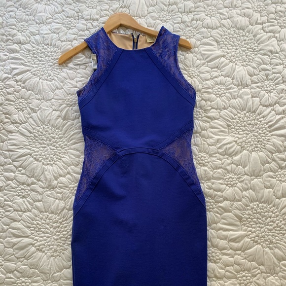 Torn by Ronny Kobo dress - Picture 2 of 3